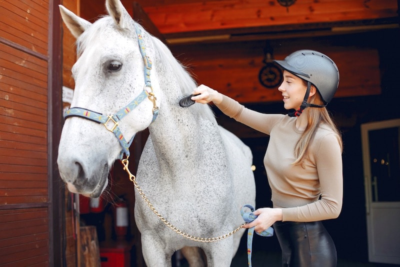 mutuelle pour cheval