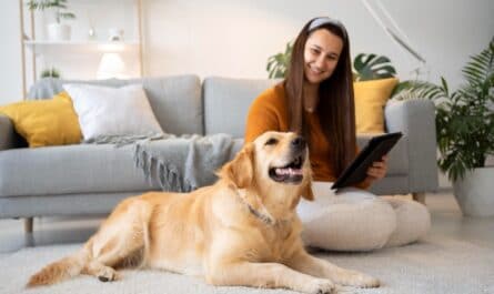 mutuelle chien
