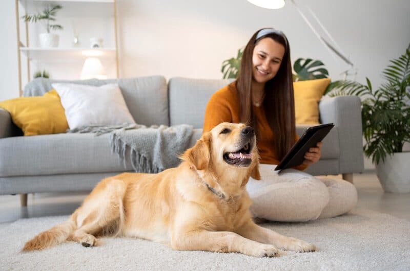 Assurance Santé pour Chien : Est-elle nécessaire ?