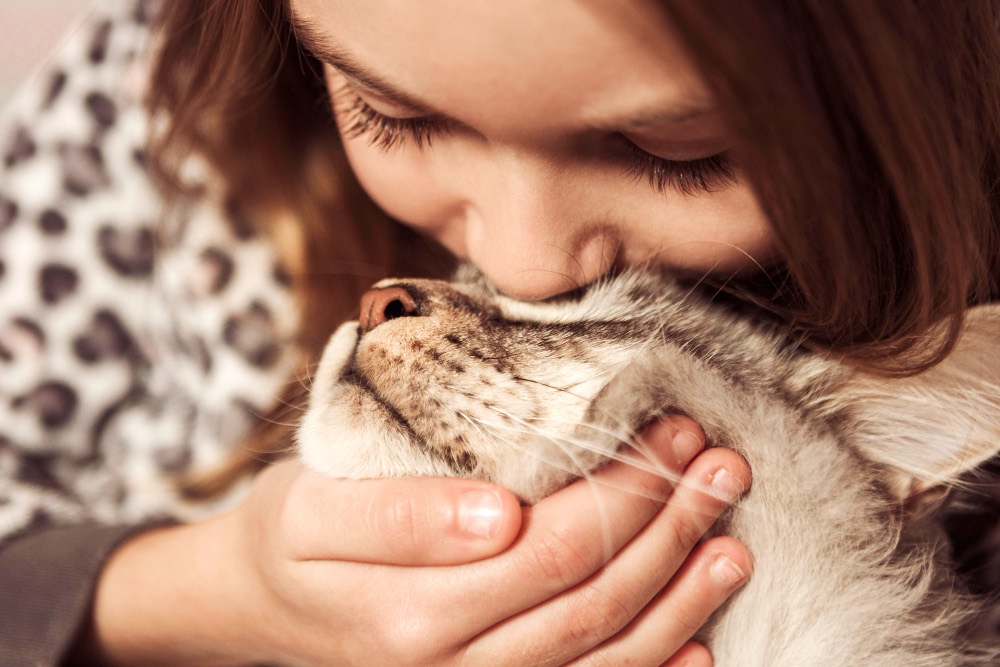 durée de vie chat