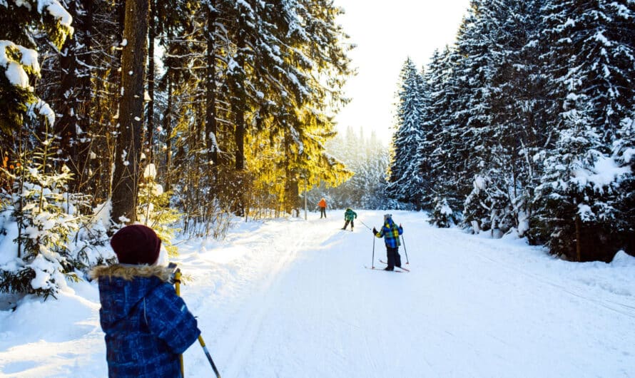 Stations ski de fond : où les trouver en France ?