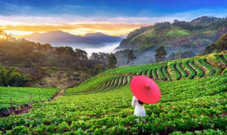 visa touristique pour la Thaïlande