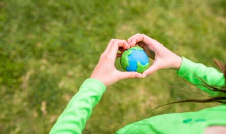 ecologie au quotidien