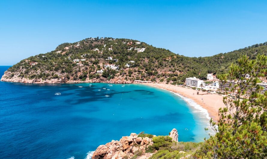 Pourquoi faire ses courses au drive à Ibiza ?