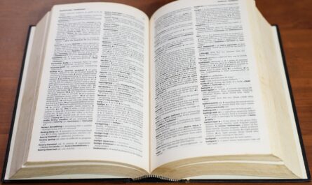 dictionnaire ouvert