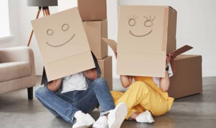 cartons déménagement