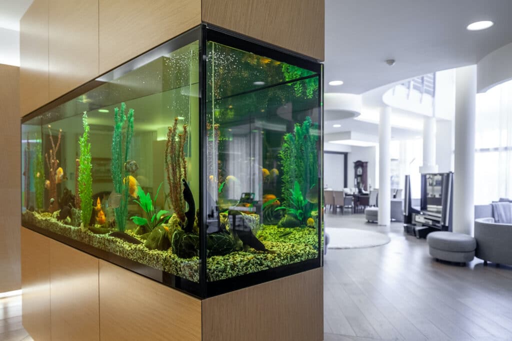 aquarium propre