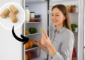 bouchon-vin-frigo
