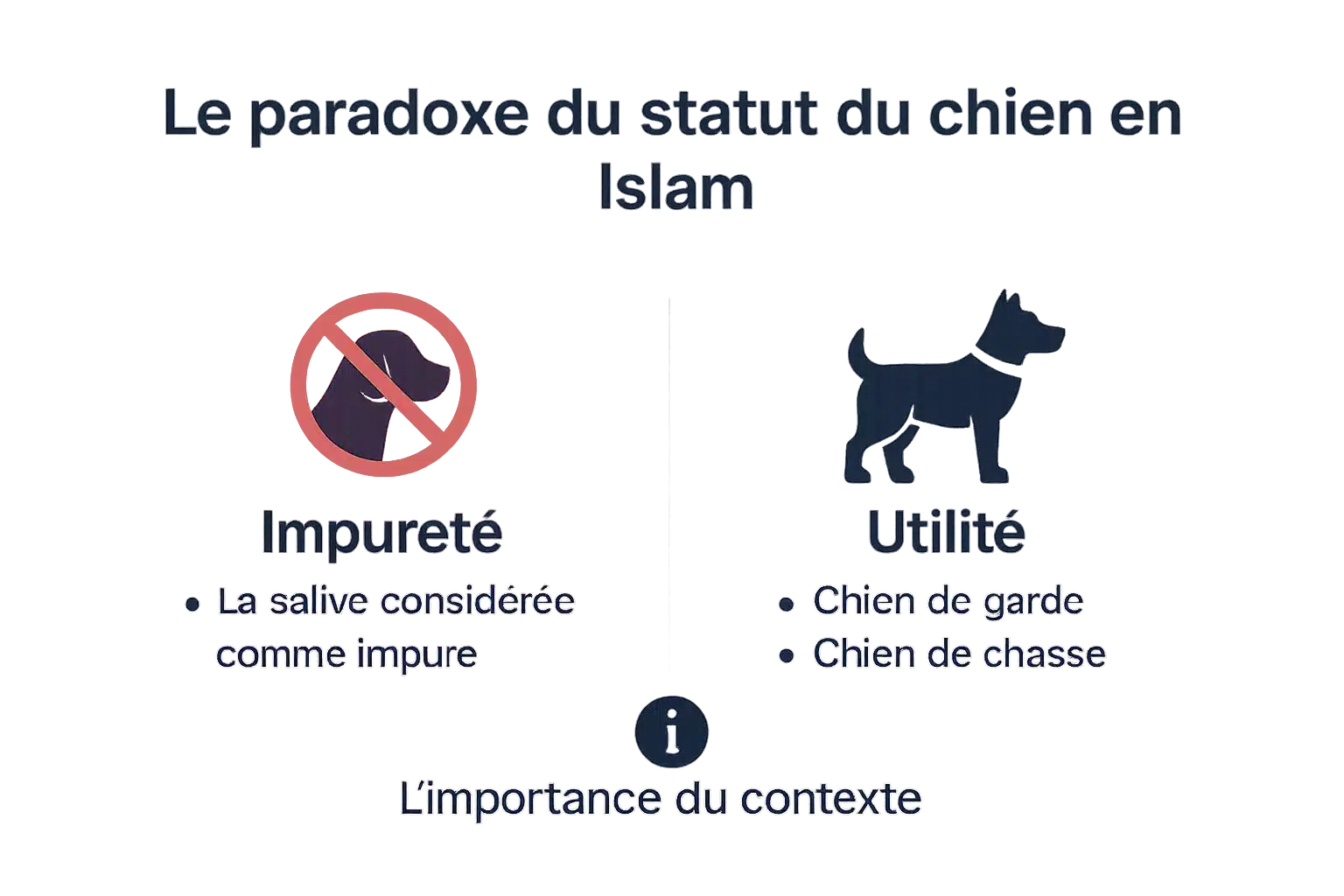 Le paradoxe du chien en Islam : entre impureté et utilité