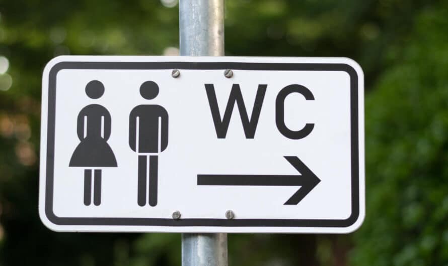 Location de sanitaires pour un événement : le guide complet pour bien s'organiser